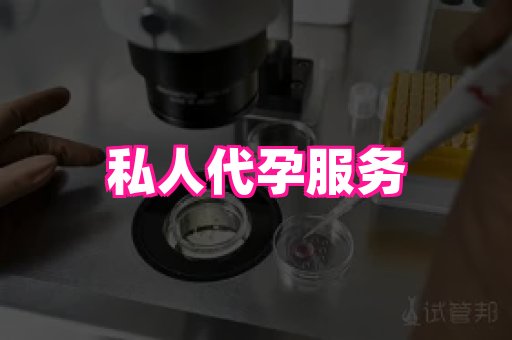 哈尔滨助孕网 4